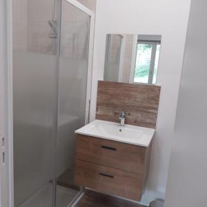 a bathroom with a sink and a shower at Gite "C" dans une ancienne corps de ferme C in Poigny +28 photos