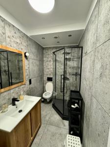 une salle de bain avec un lavabo, une douche et des toilettes dans l'établissement Apartament pod Czerwonym Pagajem Gdynia, à Gdynia