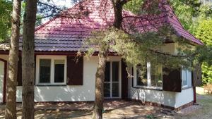 a house with a pink roof and some trees at Pluski Dom PROJEKT PLUSKI nad Jeziorem Pluszne in Pluski