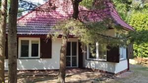 a small house with a pink roof at Pluski Dom PROJEKT PLUSKI nad Jeziorem Pluszne in Pluski +21 photos