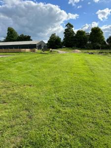 The Paddock View at Danebury外面的花园