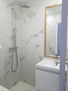 a bathroom with a shower with a sink and a mirror at Dupleix Hotel in Paris