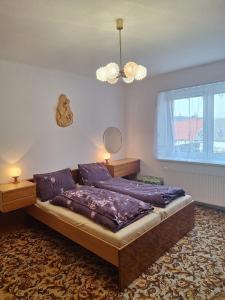 una camera da letto con un letto con lenzuola viola e una finestra di Chalupa U Vršitých a Lhenice