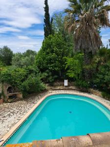 une piscine dans une cour avec un palmier dans l'établissement Romantische Bauernhofvilla inmitten der Weinberge, à Salles-d'Aude