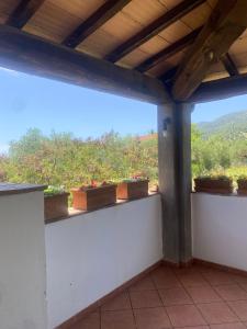 Balcone o terrazza di Agriturismo Poggialberi
