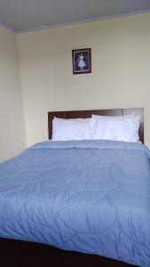 - un lit bleu avec des oreillers blancs et une photo sur le mur dans l'établissement Memorable Apartment, à Filandia