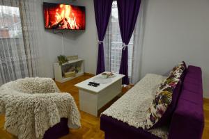 a living room with a couch and a fire on the wall at Apartment Marijana in Vrnjačka Banja