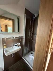 a bathroom with a sink and a shower with a mirror at Hotel Reich am Ebnisee in Kaisersbach