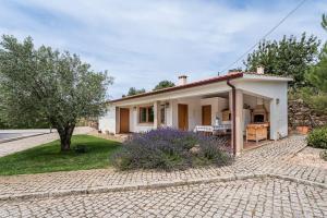a small white house with a brick driveway at Casa do Alambique - Douro in Armamar
