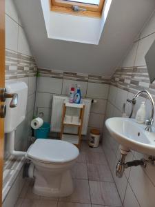 a bathroom with a toilet and a sink at Orsolya Vendégház Balatonudvari in Balatonudvari +12 photos