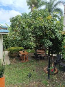 einen Garten mit einer Bank und einem Baum in der Unterkunft Cabaña el amarillo in Barbosa