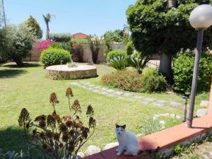 Zahrada ubytování Casa di Lu’