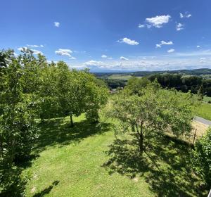 Príroda v okolí apartmánu