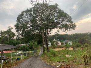Photo de la galerie de l'établissement Homestay Dalilah Islam Sendayan, à Seremban