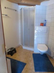 a small bathroom with a toilet and a shower at Ferienwohnung Howart - b48611 in Ebnat