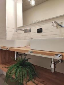 un bagno con un lavandino e una pianta in vaso di B&Bob Private Apartment in Bari a Bari