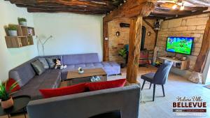een woonkamer met een bank en een tv bij Arode Nature Villa Bellevue in Katselovo