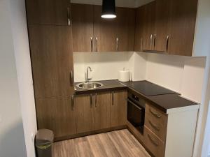 Kuchyň nebo kuchyňský kout v ubytování Apartmani B&A