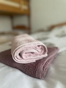 Postel nebo postele na pokoji v ubytování Apartma Šohen