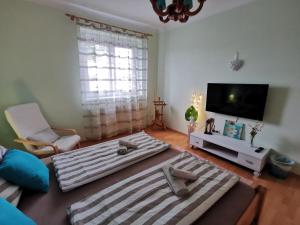 2 camas grandes en una sala de estar con TV en Sonnenoase en Deutschkreutz