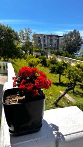 Zahrada ubytování Villa Mare - for families & groups