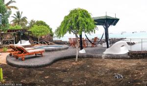 a park with a playground with a pool and a tree at Casa del Mar in Puerto Ayora