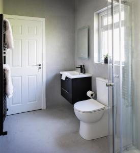 a bathroom with a toilet and a sink and a shower at Green Isle in Kenmare