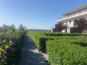 Golden Beach Luxury Apartman 8600 Siófok, Szent László utca 191 kép - 2