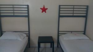 羅德岱堡的住宿－Crocodhouse ,parking ,free coffee，墙上有一星的房间里设有两张双层床