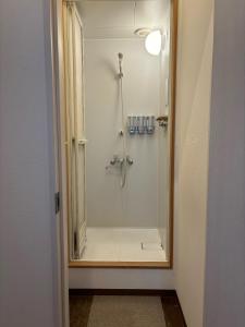 a bathroom with a shower with a glass door at Hostel Mt. Fuji - FUKUYA in Fujiyoshida