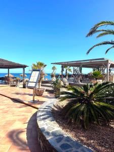 un complexe avec des tables, des palmiers et l'océan dans l'établissement Village Vacances La Vallicella, à Poggio-Mezzana