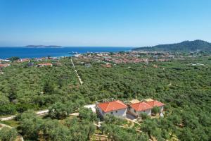 an aerial view of a house on a hill next to the ocean at Helicon Luxury Villas in Limenas