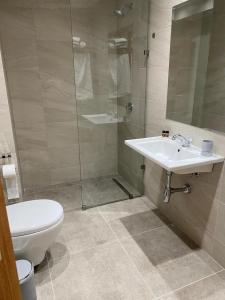 a bathroom with a toilet and a sink and a shower at Hotel Borshi in Borsh