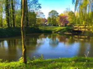 Vista sul fiume nelle vicinanze del bed & breakfast