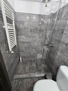 a bathroom with a shower with a toilet at Old Town Constanta in Constanţa