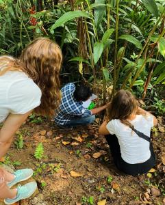 two girls and a boy looking at a plant at Ella nine arch spice garden in Ella