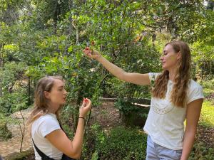 dos mujeres están de pie cerca de un árbol recogiendo fruta en Ella nine arch spice garden en Ella