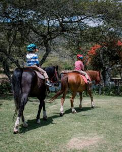 two people riding on horses in a field at Hacienda San Francisco in Tumbabiro