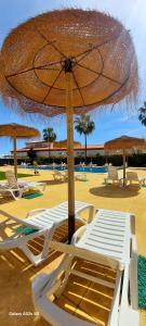 Fotografie z fotogalerie ubytování Home, tulipán Orihuela costa v destinaci San Miguel de Salinas