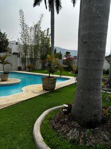 a palm tree sitting next to a swimming pool at VILLAS EL ENCANTO in Jalpan