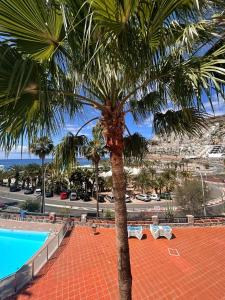 a palm tree in front of a swimming pool at Bluejay Apartamento Playa del Cura in Playa del Cura
