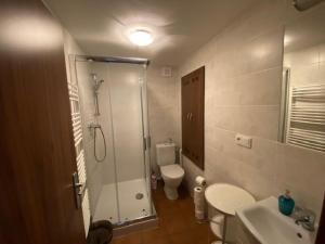 Koupelna v ubytování Apartment Sklipek Alsop