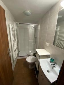 Koupelna v ubytování Apartment Sklipek Alsop + 8 fotografií