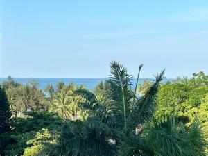 un grupo de palmeras frente al océano en Khách Sạn Tuấn Thảo Cửa Lò, en Cửa Lô