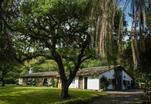 Afbeelding uit fotogalerij van Hacienda San Francisco in Tumbabiro +82 foto's