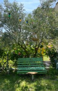 a green park bench sitting in front of a tree at HILL Of SAN PIETRO in Durrës +22 photos