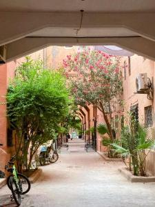 馬拉喀什的住宿－RIAD Lalla Aicha-Qariya Siyahia Marrakech，一条有树木的小巷和停在街上的自行车