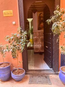 dois vasos de árvores sentados à frente de uma porta em RIAD Lalla Aicha-Qariya Siyahia Marrakech em Marrakech