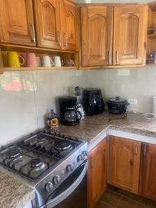 une cuisine avec une cuisinière et des armoires en bois dans l'établissement Dogsland Pululahua - Bienvenidos - Ferienwohnungen, à Quito