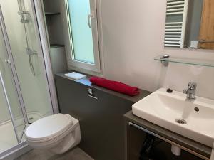 a bathroom with a white toilet and a sink at Sportcamping & Glamping Resort Rio Vantone in Crone